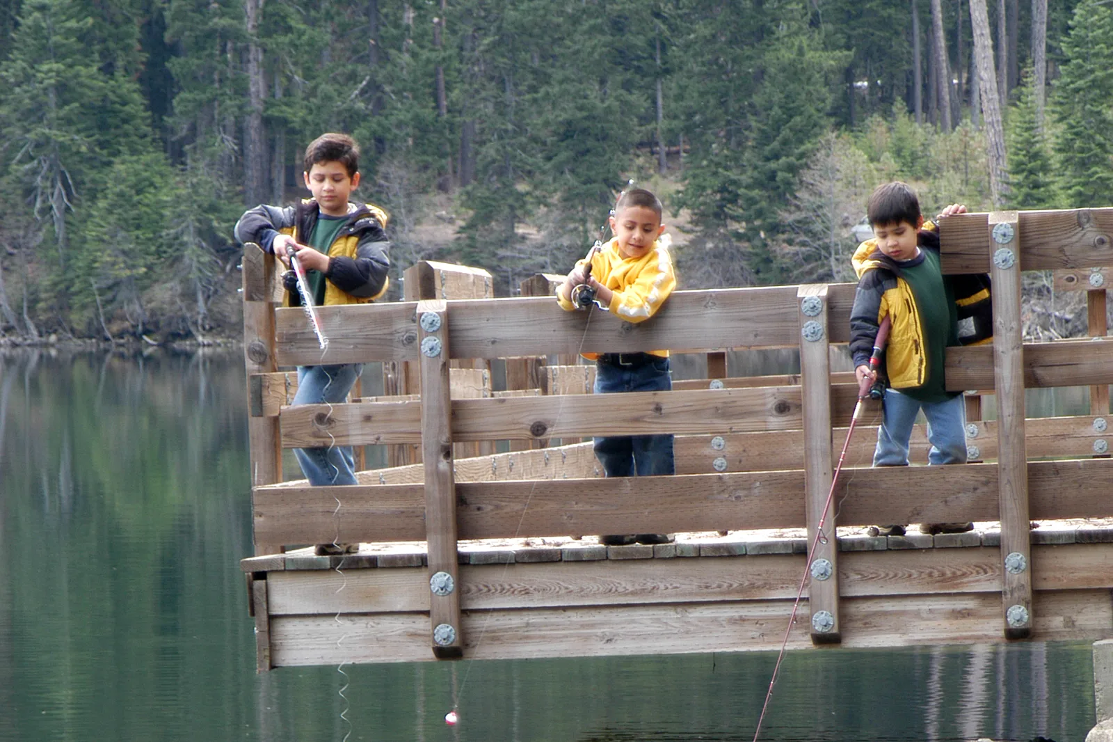 Three boys in yellow and green jackets fish with rods from a wooden deck over a still lake, with a forest of tall conifers behind them