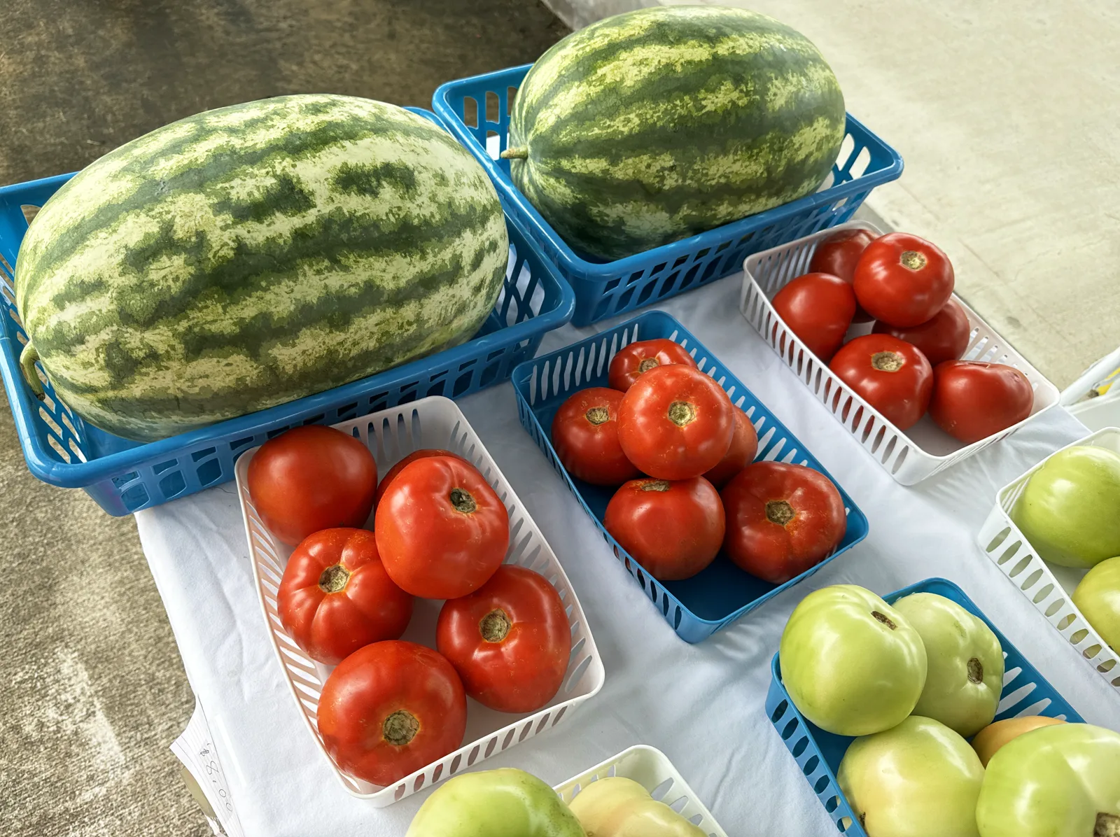 Two watermelons in blue plastic baskets and red and green tomatoes in small white and blue baskets on a table covered with a white cloth