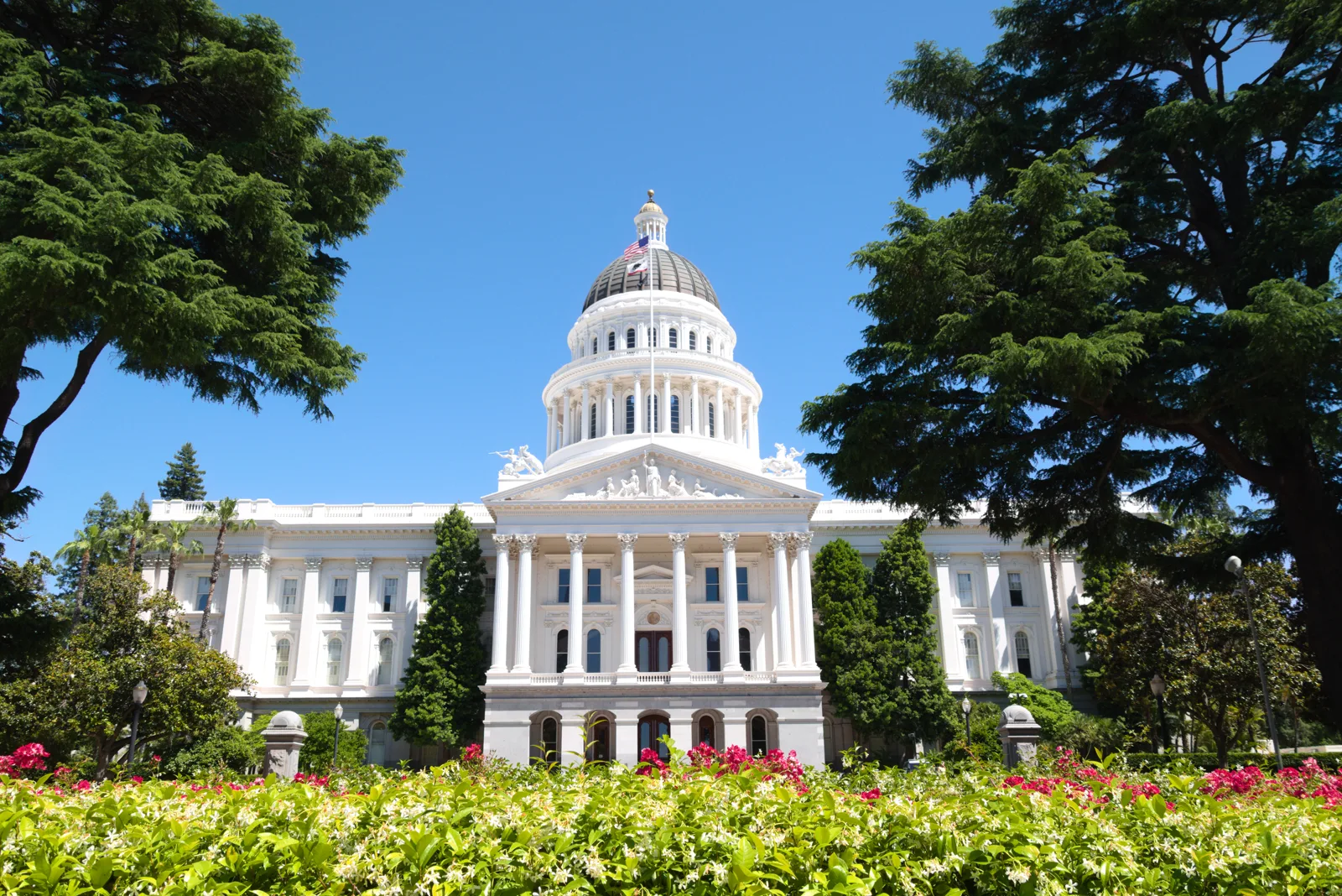 The white domed California State Capitol between tall evergreen trees, with a bed of flowering shrubs in the foreground under a clear blue sky