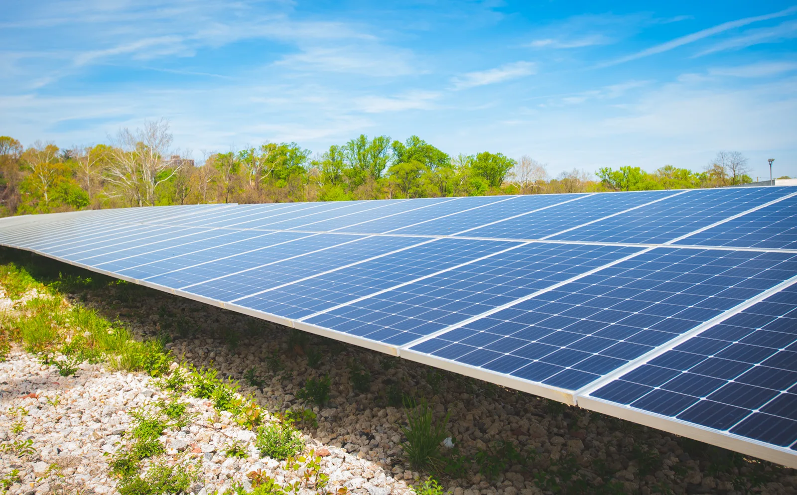A long row of blue solar panels mounted low over gravel and grass, with trees and a blue sky with thin clouds behind it