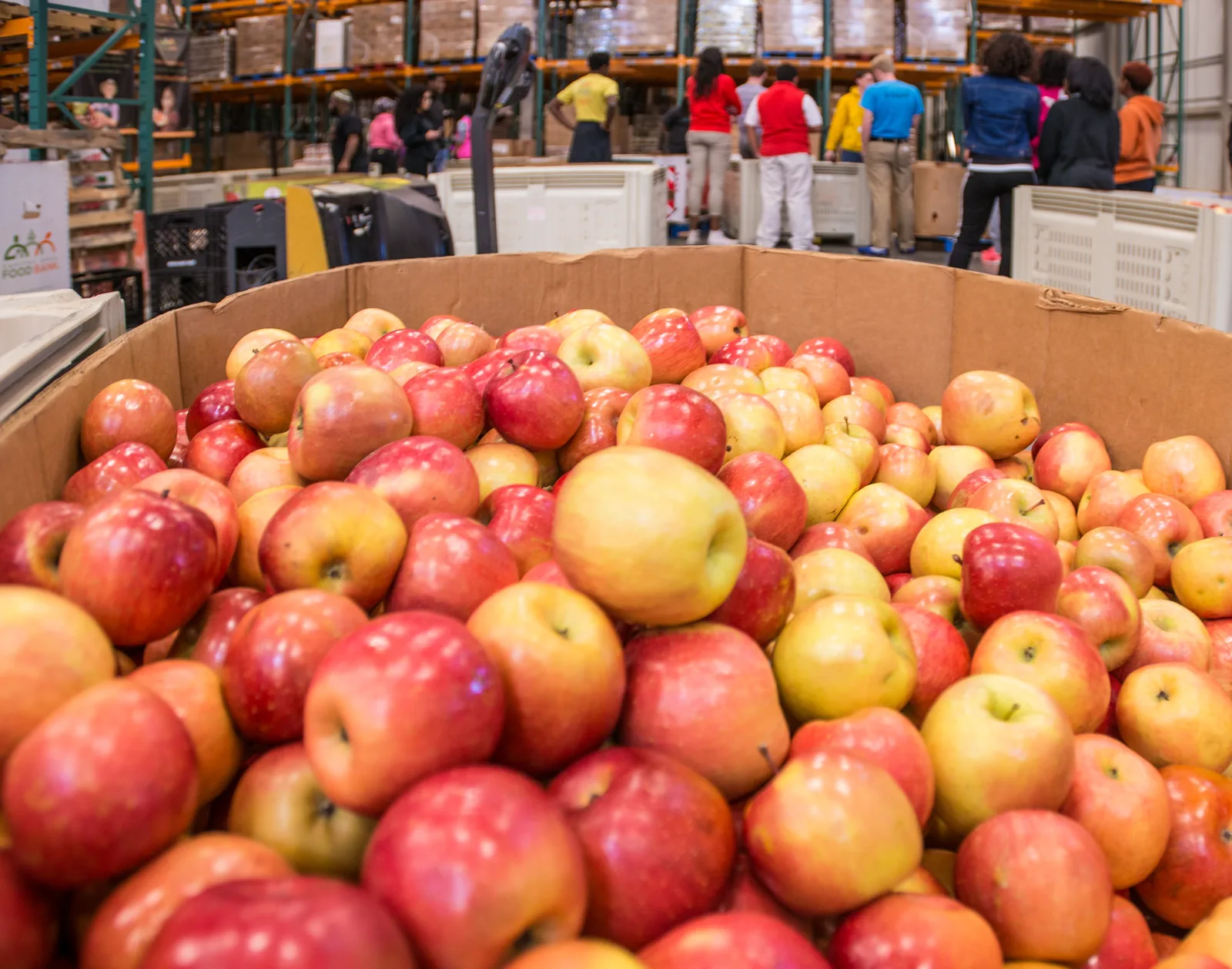 A large cardboard bin heaped with red and yellow apples in a food bank warehouse, with volunteers gathered around plastic bins and tall shelves of pallets in the blurred background