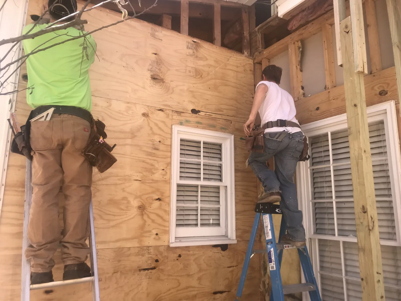 Two carpenters seen from behind stand on ladders against a plywood wall of a house under repair, tool belts at their waists, beside a white window