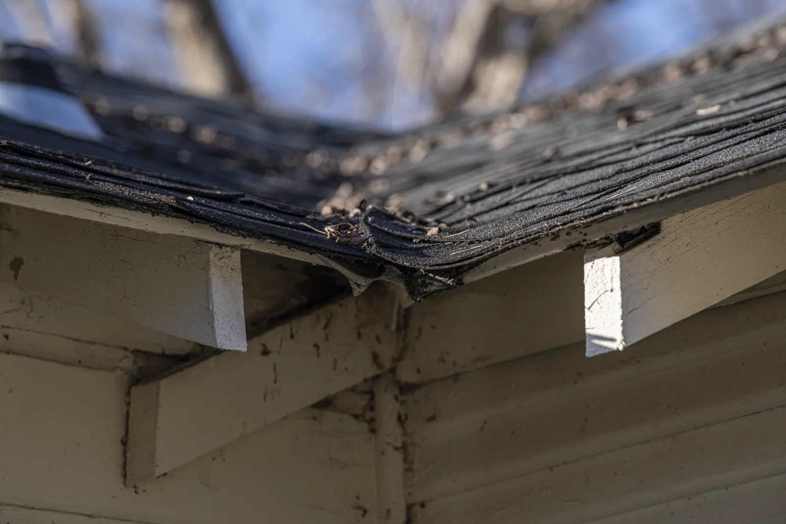 Close view of a house roof edge where worn, curling asphalt shingles sag over white wooden rafter ends and siding
