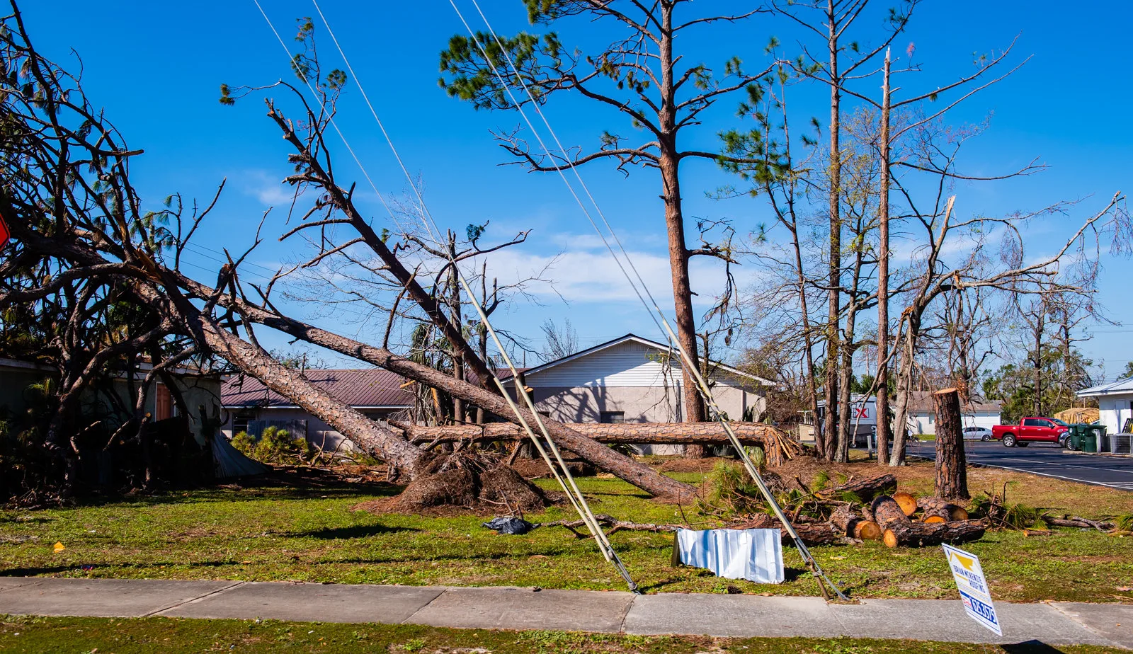 Uprooted and snapped pine trees lying across the lawns of a residential street under a blue sky, with a house and a parked car behind them