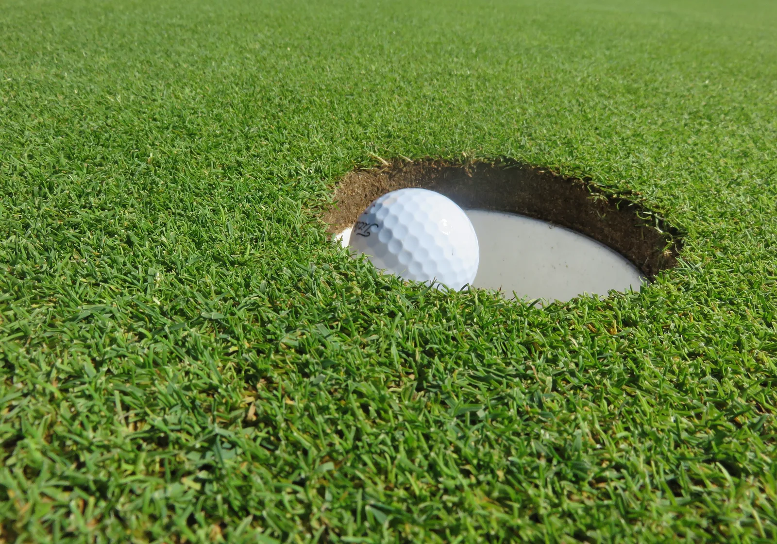 A white golf ball resting at the lip of the cup on a closely mown putting green