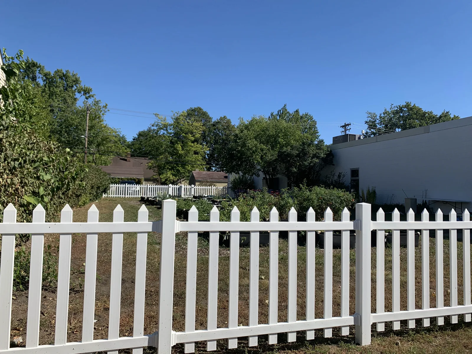 A white picket fence in front of a community garden with raised beds and shrubs, beside a low white building, with trees and houses behind under a clear blue sky