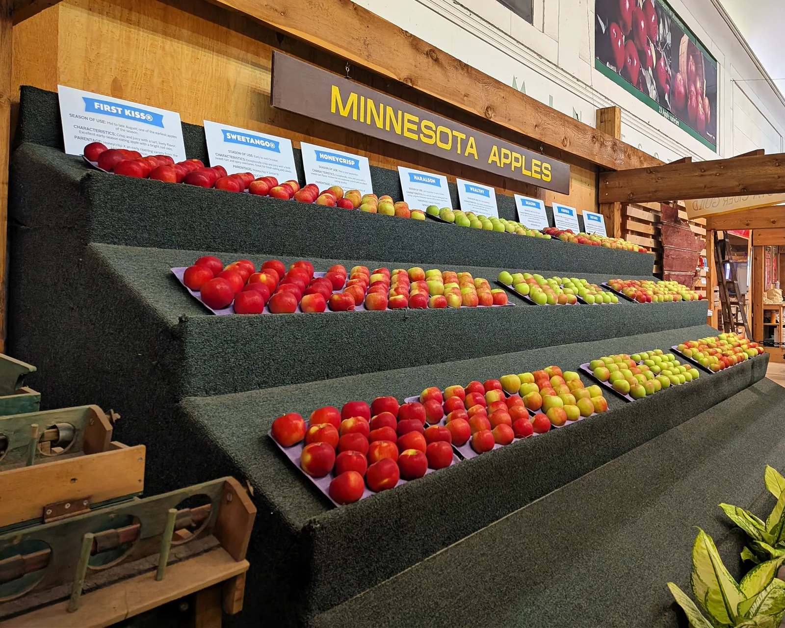 Rows of red, yellow and green apples on tiered green shelves under a wooden sign reading Minnesota Apples, with a card naming each variety above its row