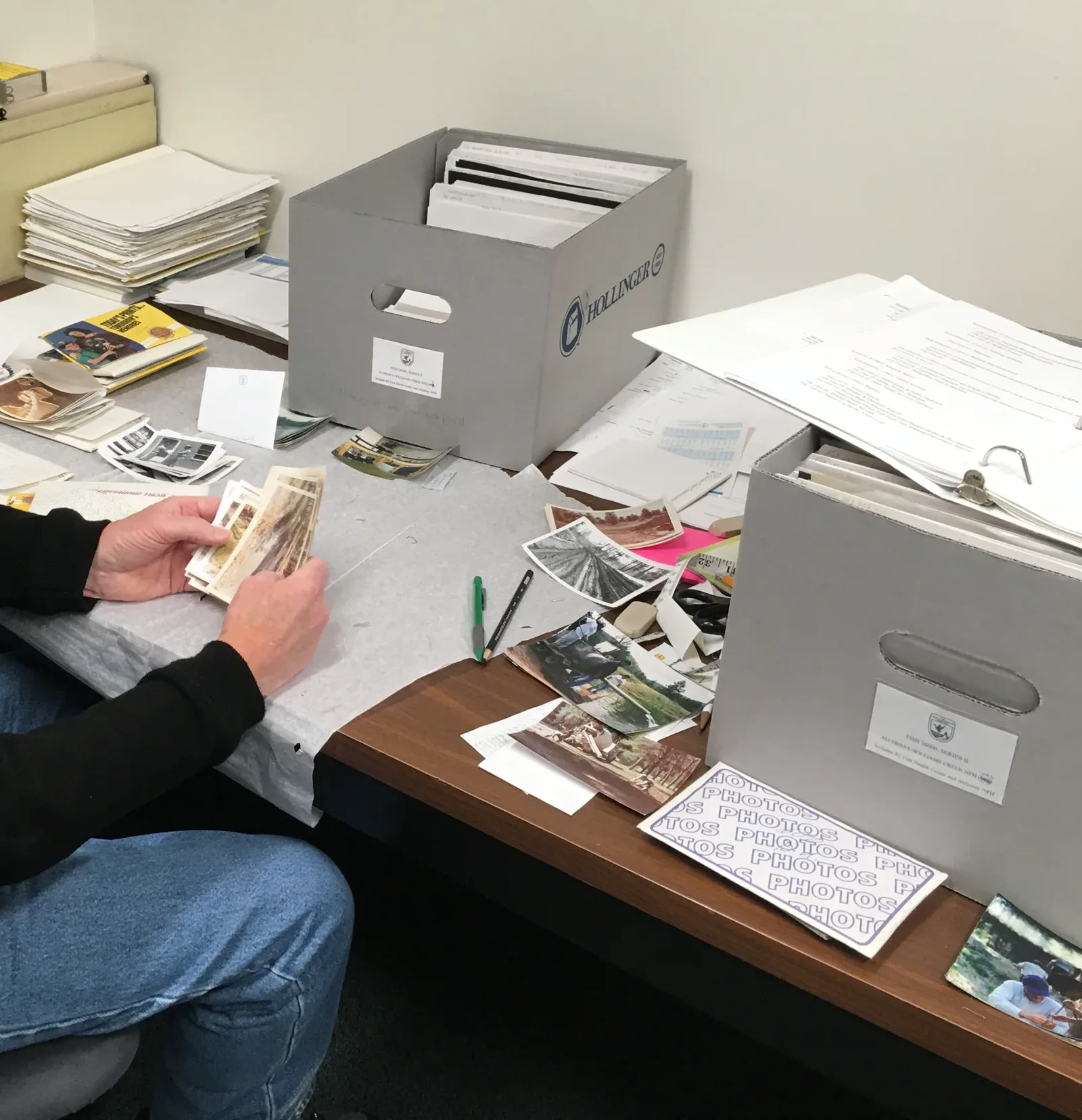 A person's hands sort a stack of old photographs at a table covered with prints, papers and gray archival boxes, one marked Hollinger
