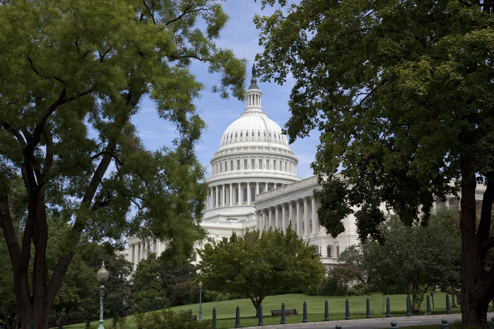 The white dome of the United States Capitol and a columned wing seen between tall leafy trees, with a sloping green lawn and a row of short posts in the foreground under a blue sky