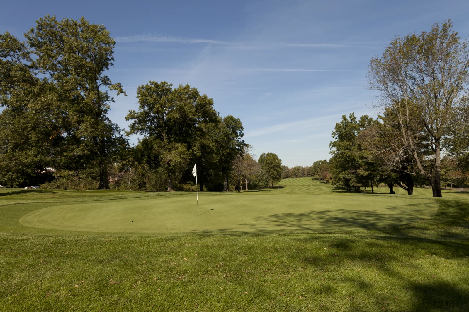 A putting green with a white flag on a golf course, framed by tall leafy trees under a blue sky, with a striped fairway running into the distance