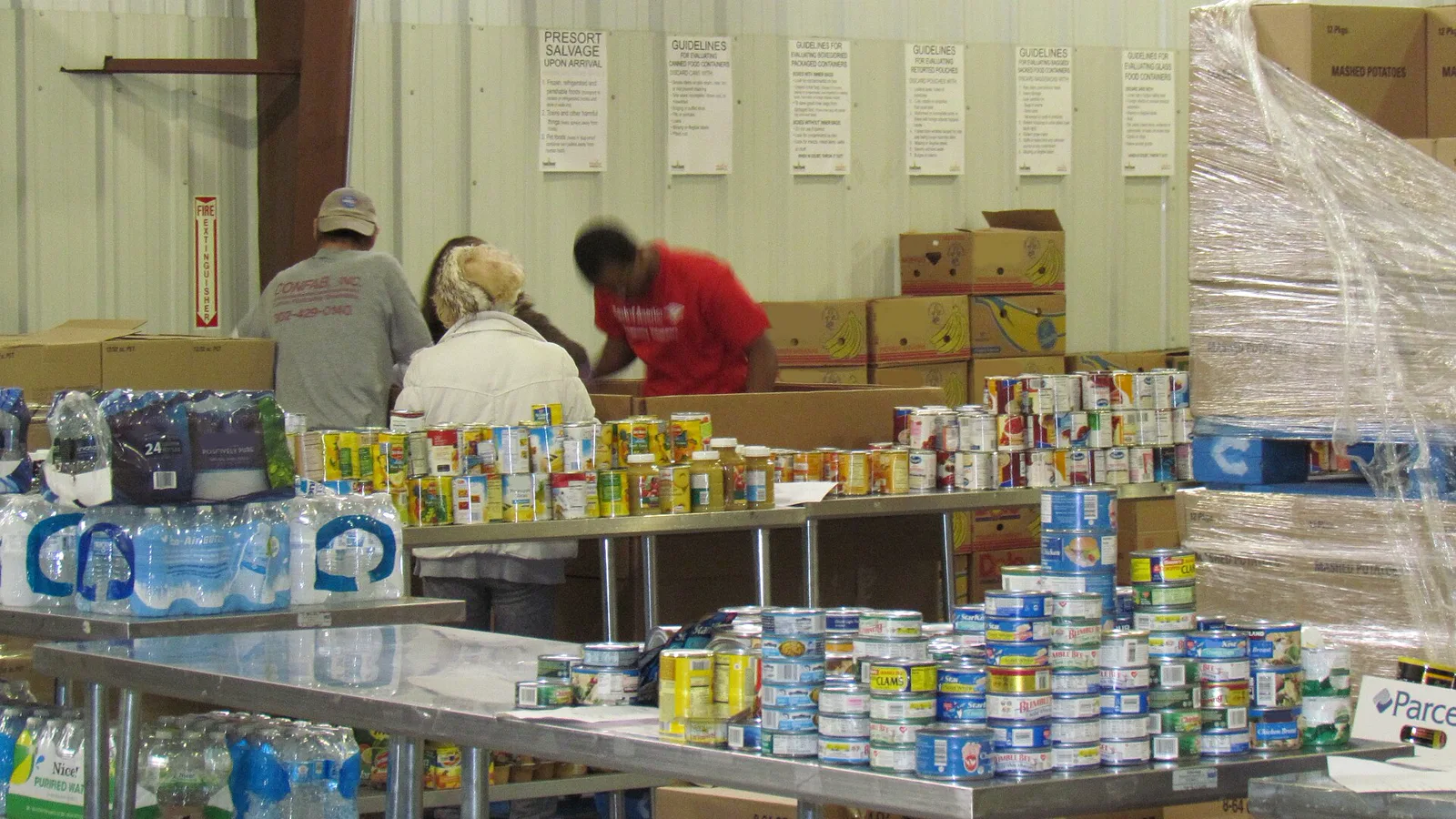 Volunteers seen from behind sort canned food on long steel tables in a warehouse, with cases of bottled water in front and boxes stacked on pallets behind